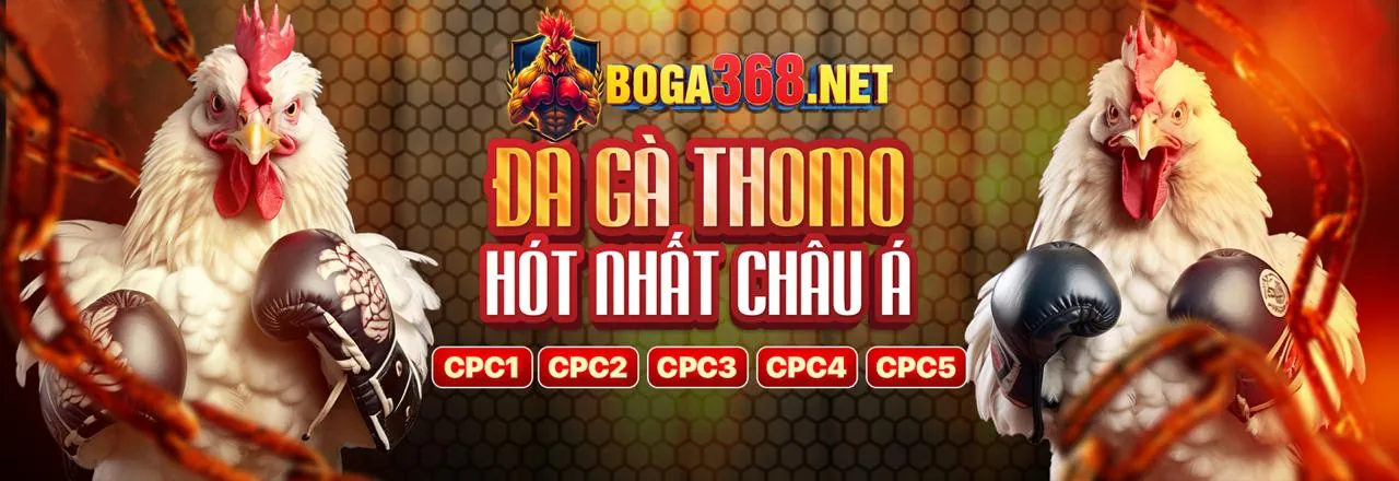 Sân vận động với ánh sáng rực rỡ và hành động thể thao, biểu tượng cho cá cược thể thao pau88